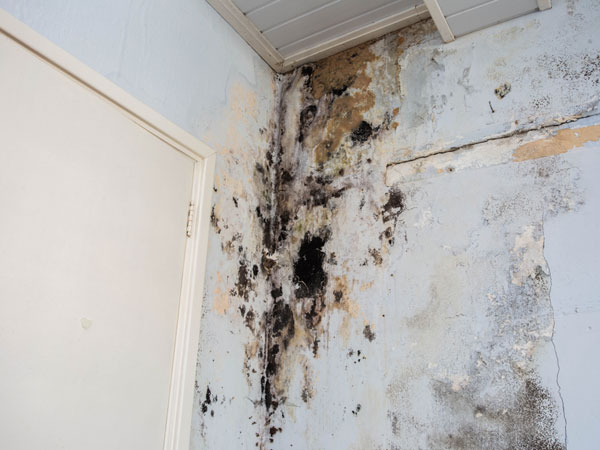 Wall effected by damp at Manchester house