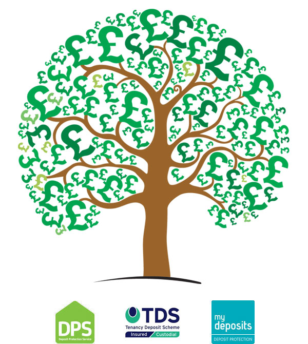 Money tree concept - DPS (Deposit Protection Service), TDS (Tenancy Deposit Scheme), My Deposits Deposit Protection